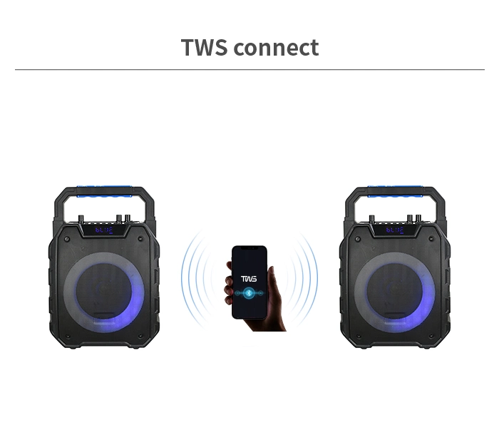 Temeisheng Caxia De Som Tws DJ Box Wireless Powered Professional Portable Audio Mini Bluetooth Speaker with FM Radio