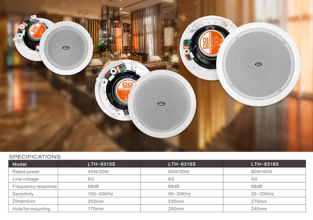 17year OEM Factory PA System Speaker Lth-8318s 40W