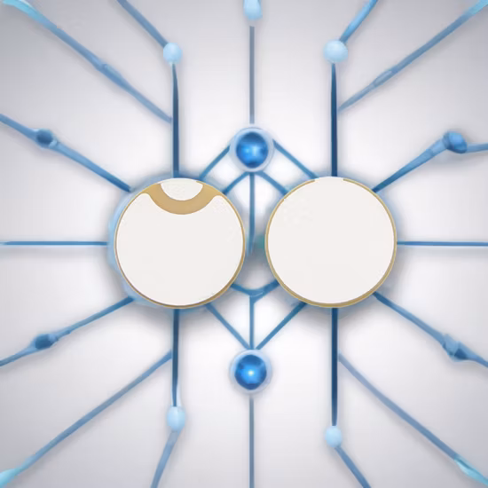 Trasduttore atomizzatore ad ultrasuoni piezoelettrico Whtf113