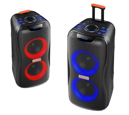 Temeisheng 2022 DJ Box Music MP3 Party Sound Box 100W Audio portatile professionale Altoparlanti Bluetooth PRO senza fili con microfono