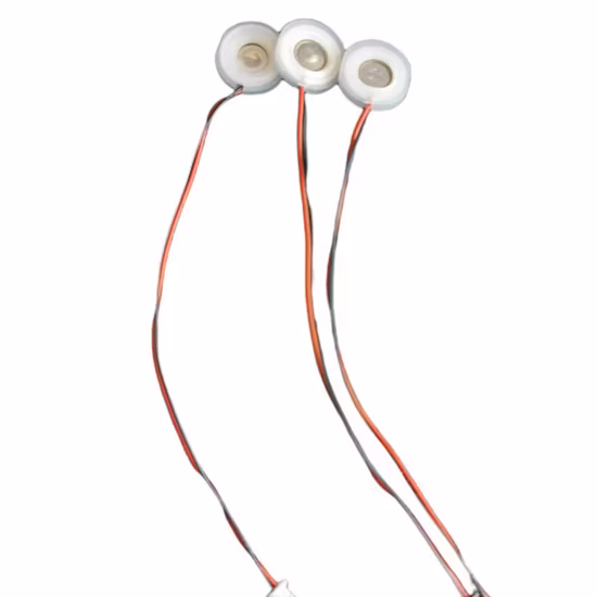 Corrosione del trasduttore dell'atomizzatore ad ultrasuoni piezoelettrico e resistenza agli acidi Hnya20