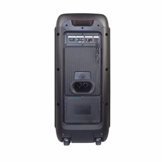 Temeisheng Nuovo altoparlante HiFi per feste con carrello portatile wireless Bluetooth da 80 W