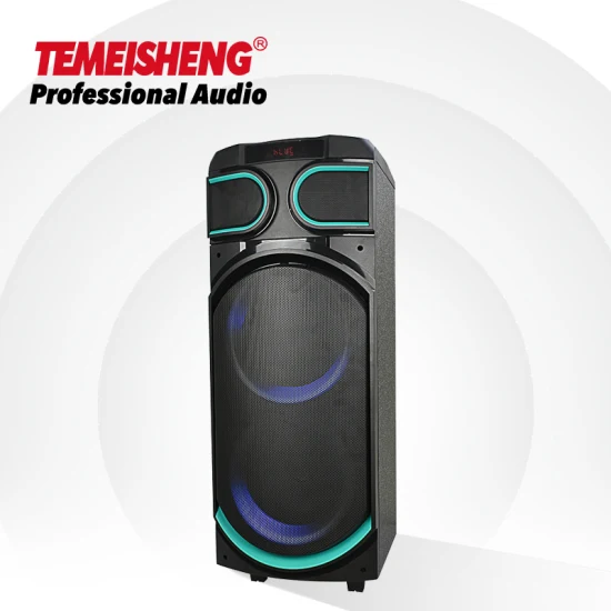 Temeisheng 8 pollici Party Box 100 Watt altoparlante audio wireless portatile professionale Blueotth con microfono