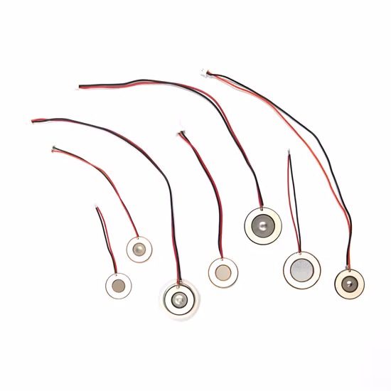 Trasduttore atomizzatore ad ultrasuoni piezoelettrico Whtf100